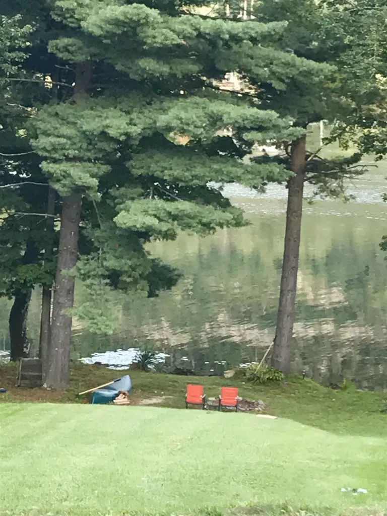 782 North Street Wells VT 05774