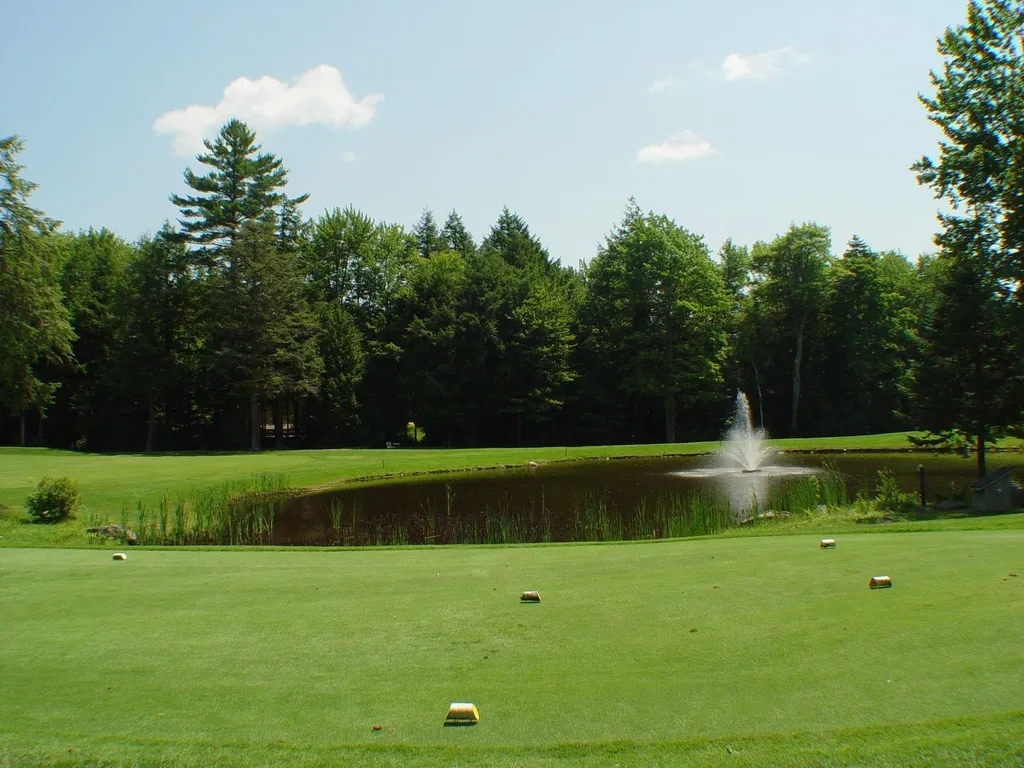 14 Oak Lane Grantham NH 03753