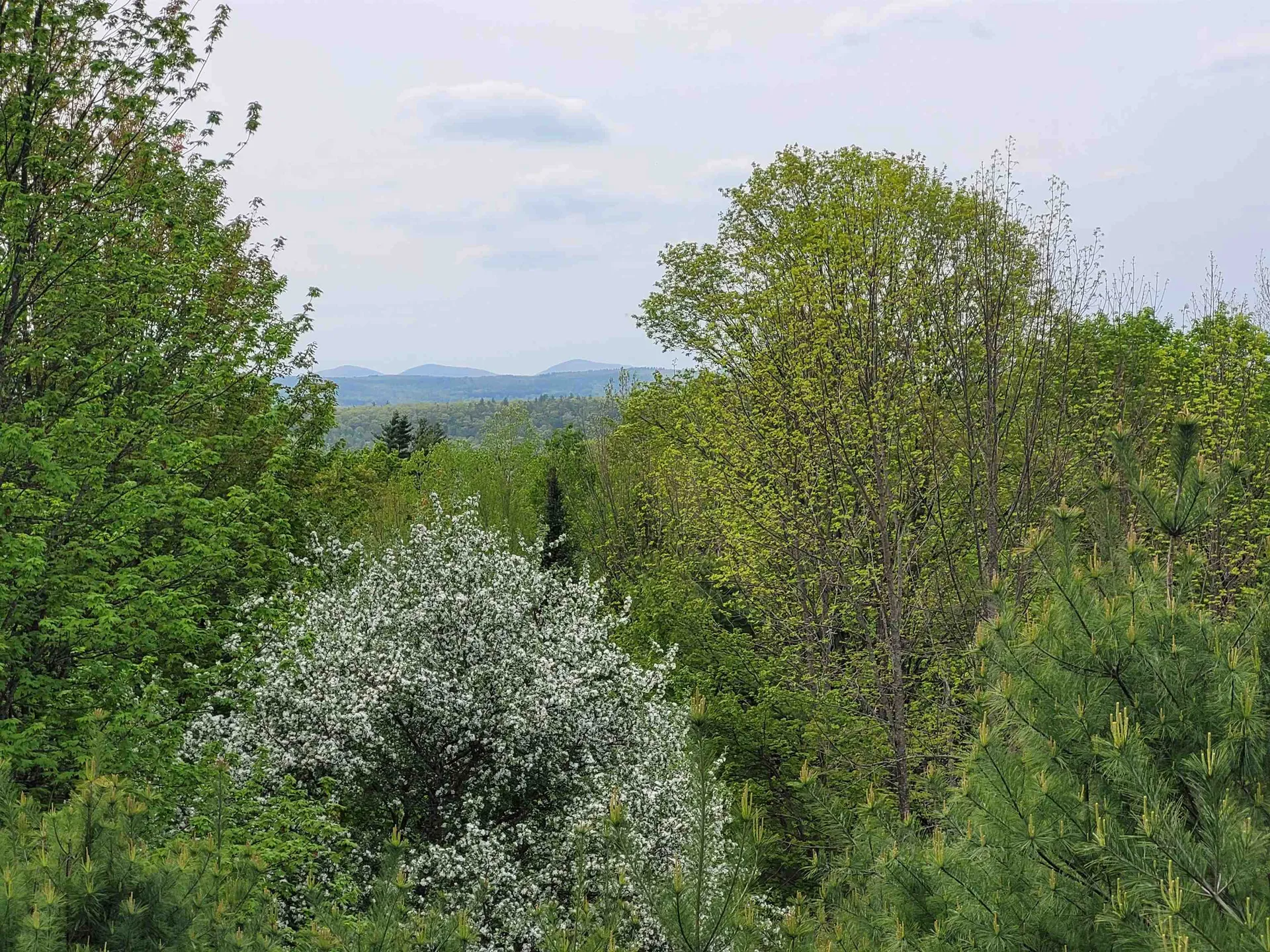 755 County Road Haverhill NH 03774