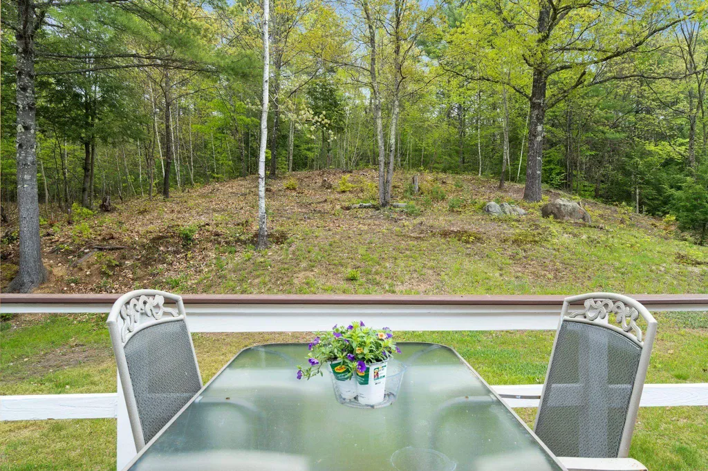 358 Deer Meadow Road Webster NH 03303