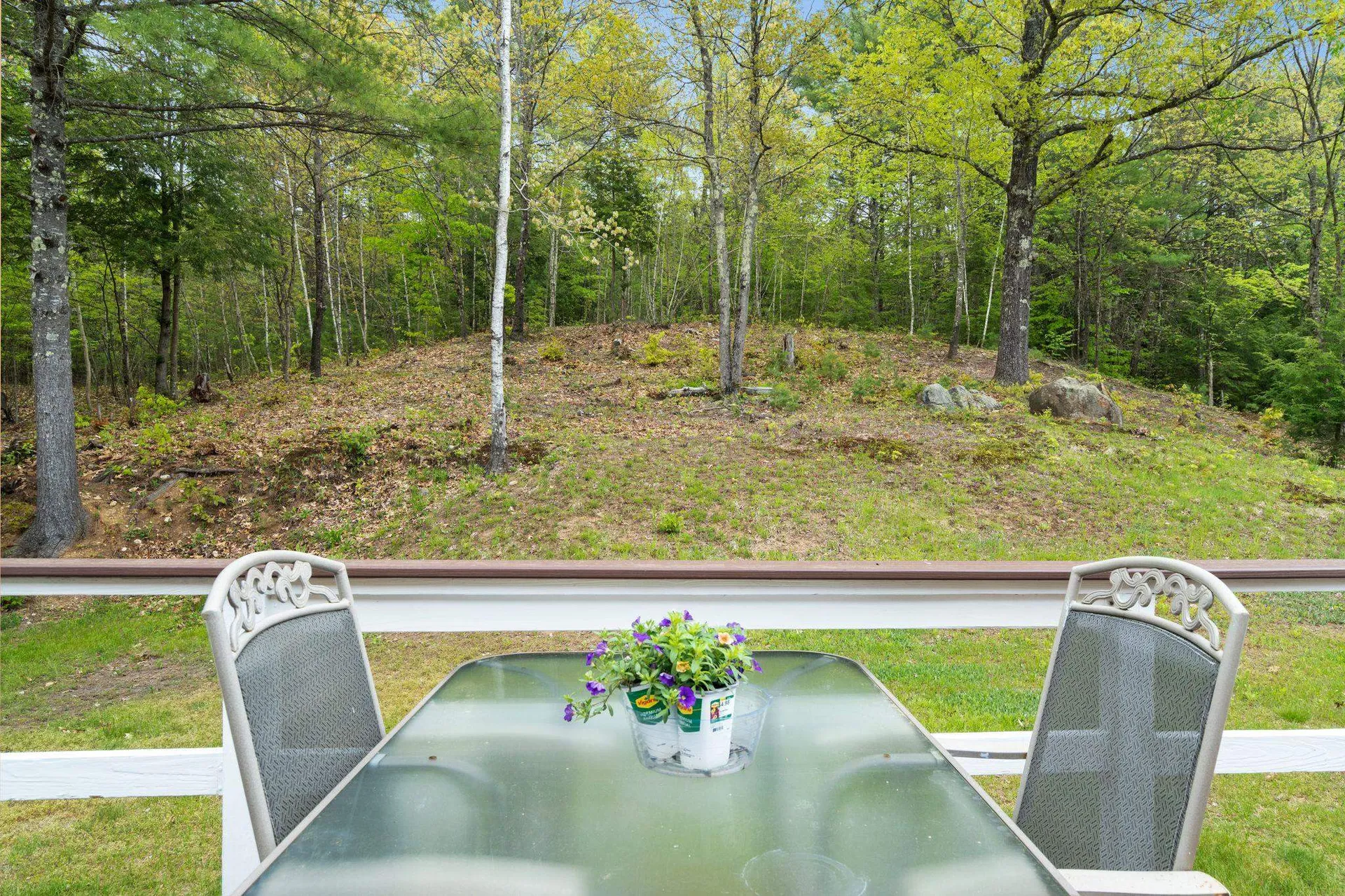 358 Deer Meadow Road Webster NH 03303