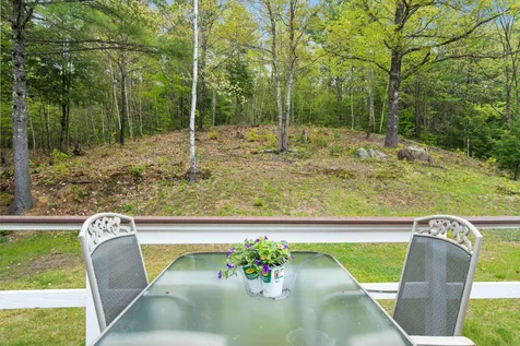 358 Deer Meadow Road Webster NH 03303