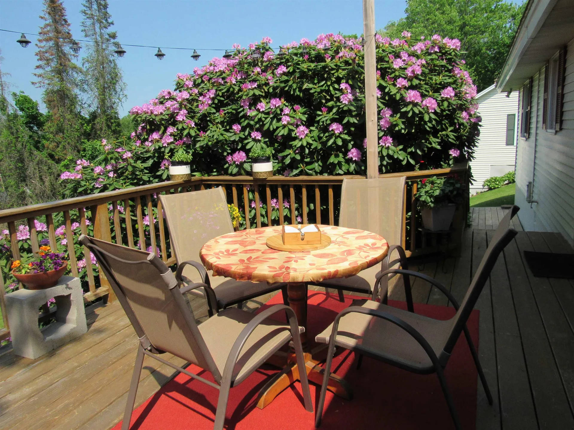 11 Bellevue Avenue Claremont NH 03743