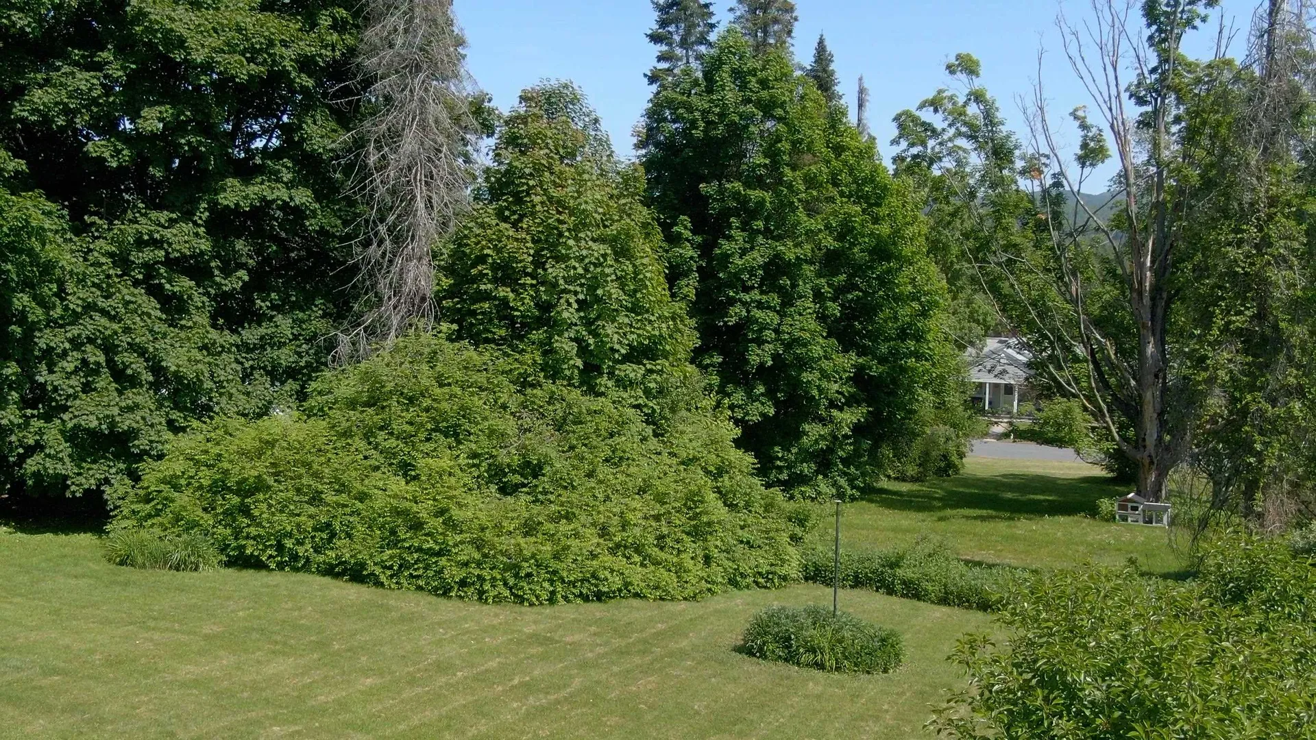 11 Bellevue Avenue Claremont NH 03743