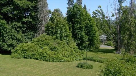 11 Bellevue Avenue Claremont NH 03743