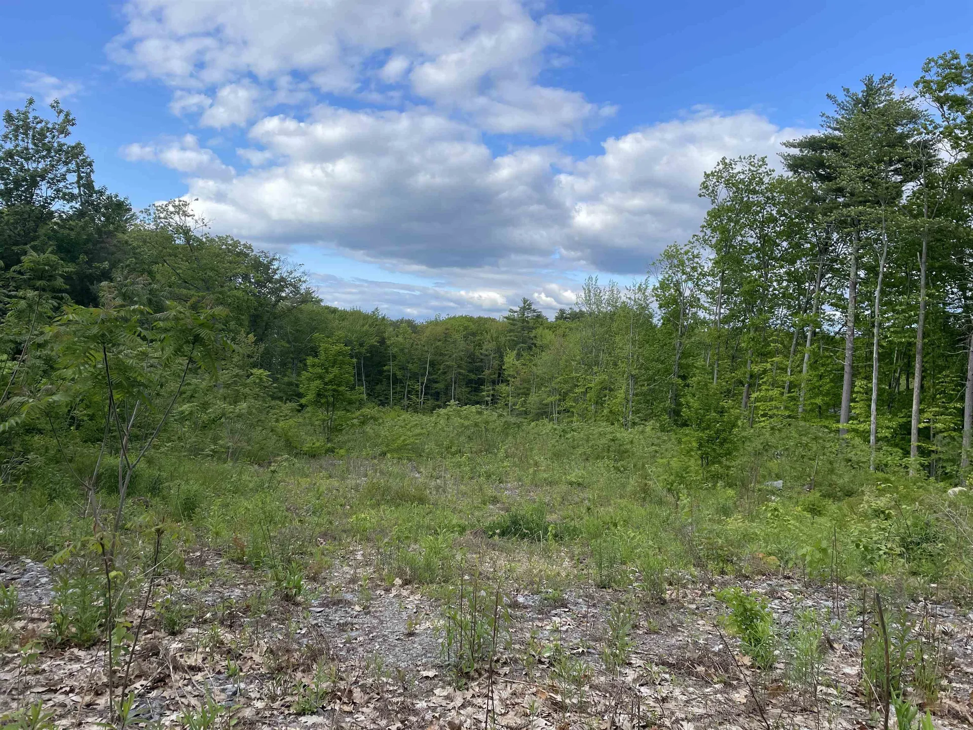 2724 Lake Shore Road Gilford NH 03249
