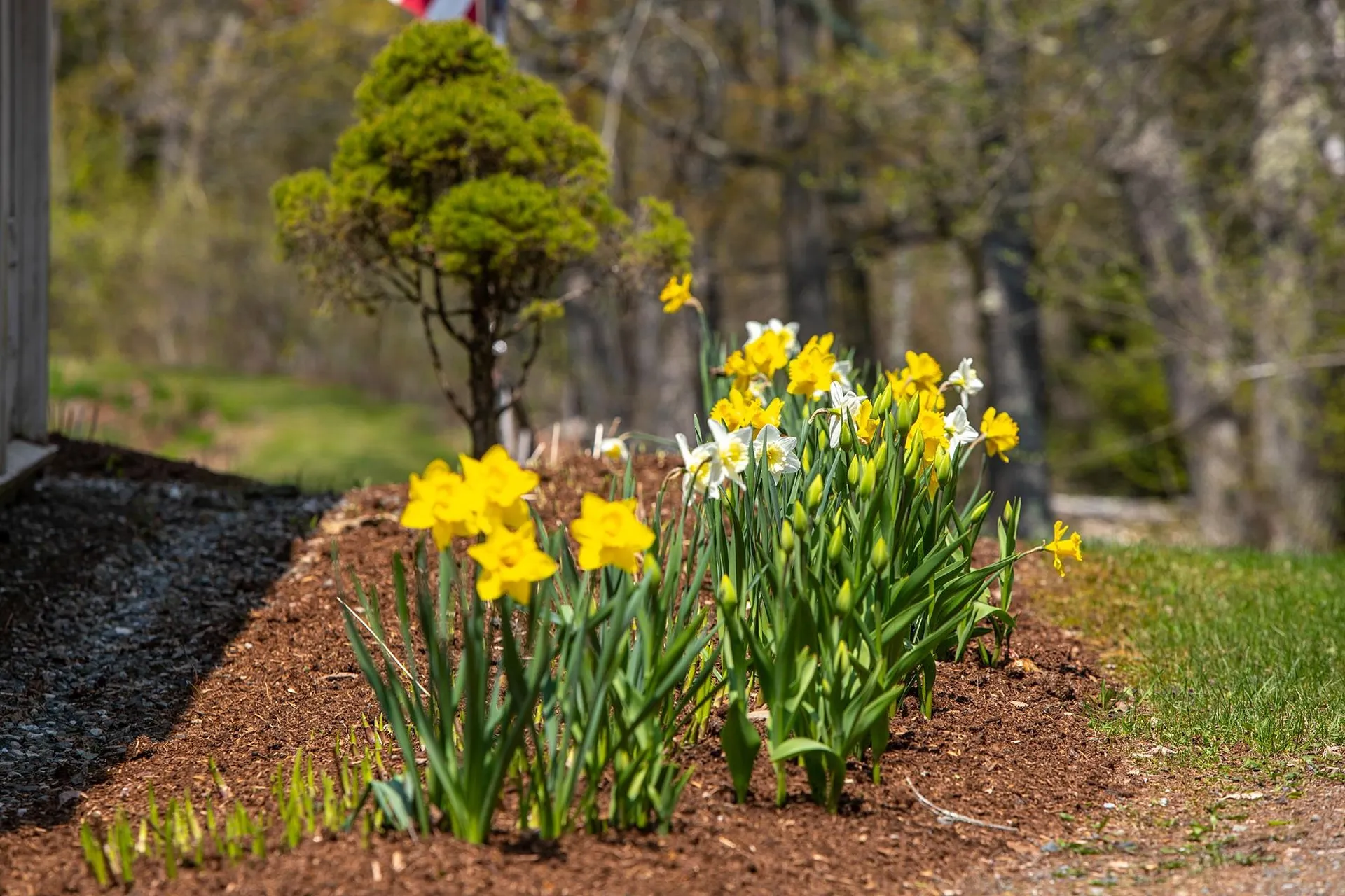 2646 Curtis Hollow Road Woodstock VT 05071