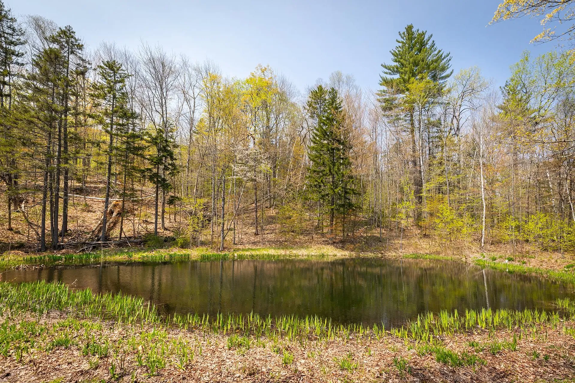 2646 Curtis Hollow Road Woodstock VT 05071
