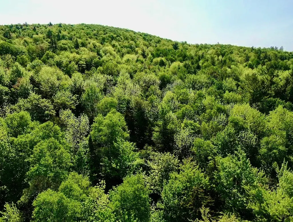 Th27 Beaver Hill Road Roxbury VT 05669