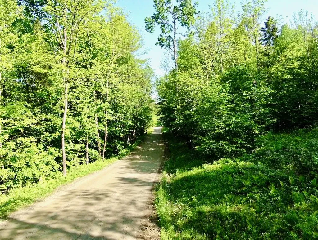 Th27 Beaver Hill Road Roxbury VT 05669