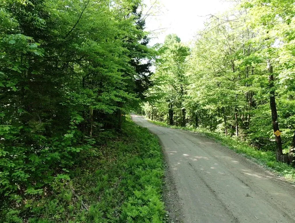Th27 Beaver Hill Road Roxbury VT 05669