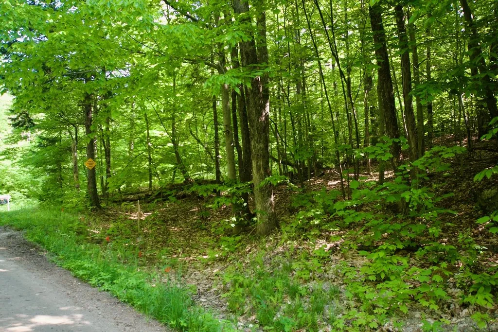 Th27 Beaver Hill Road Roxbury VT 05669