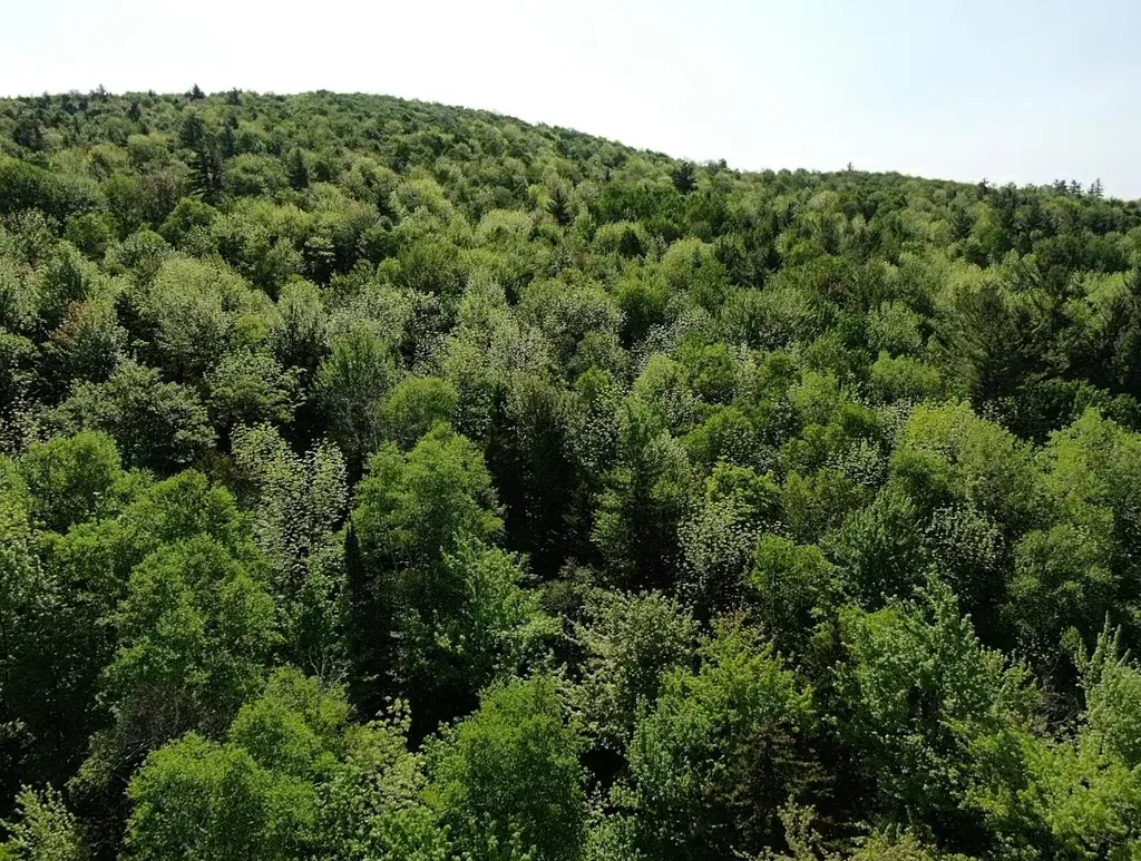 Th27 Beaver Hill Road Roxbury VT 05669
