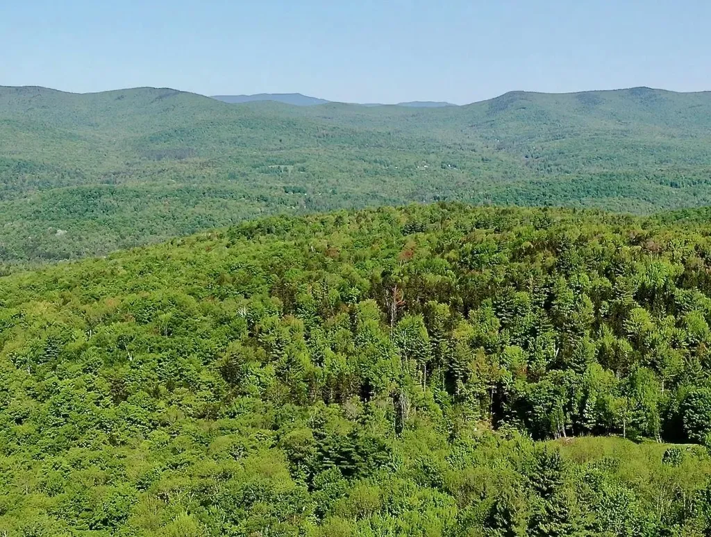 Th27 Beaver Hill Road Roxbury VT 05669