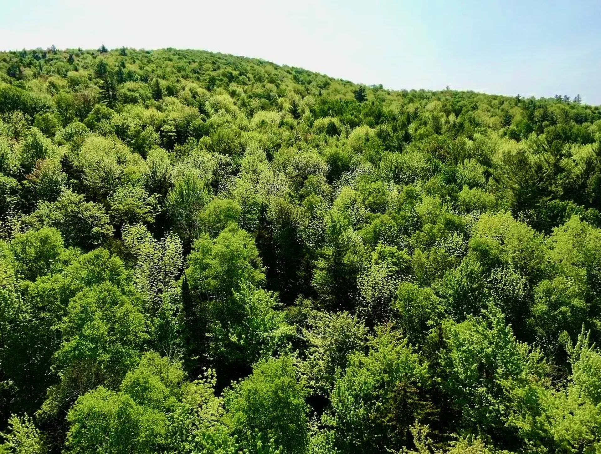 Th27 Beaver Hill Road Roxbury VT 05669