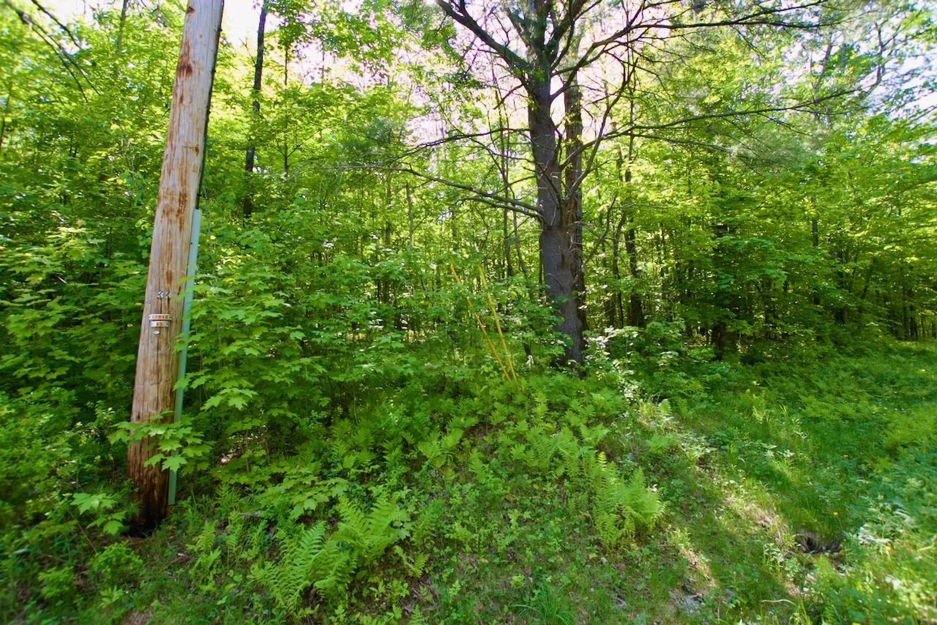 Th27 Beaver Hill Road Roxbury VT 05669
