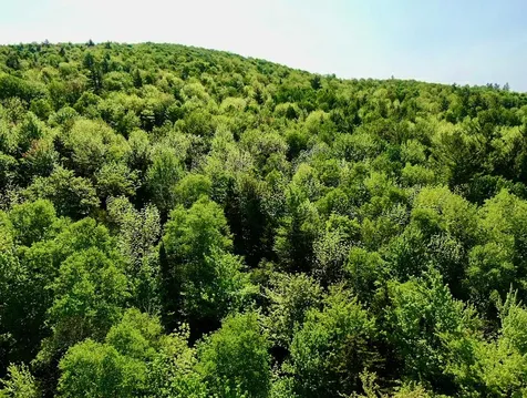 Th27 Beaver Hill Road Roxbury VT 05669