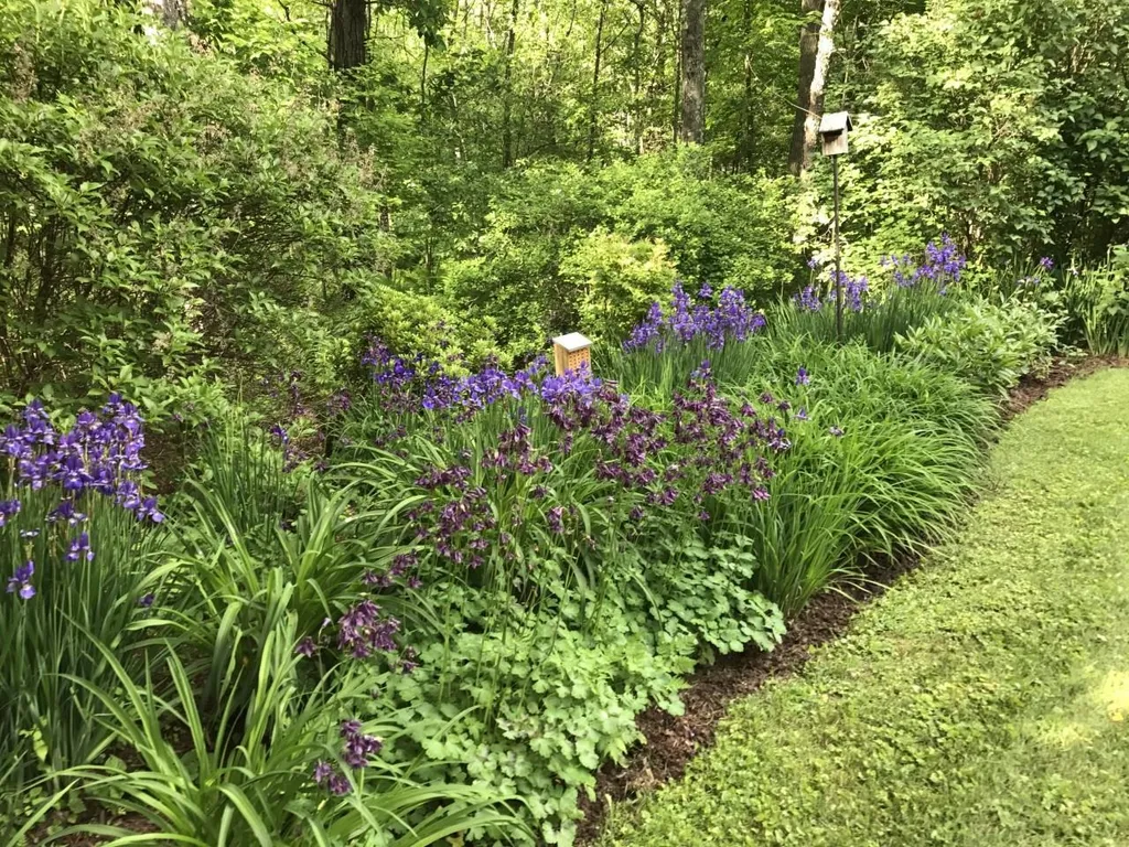 84 Gage Hill Road Hopkinton NH 03229