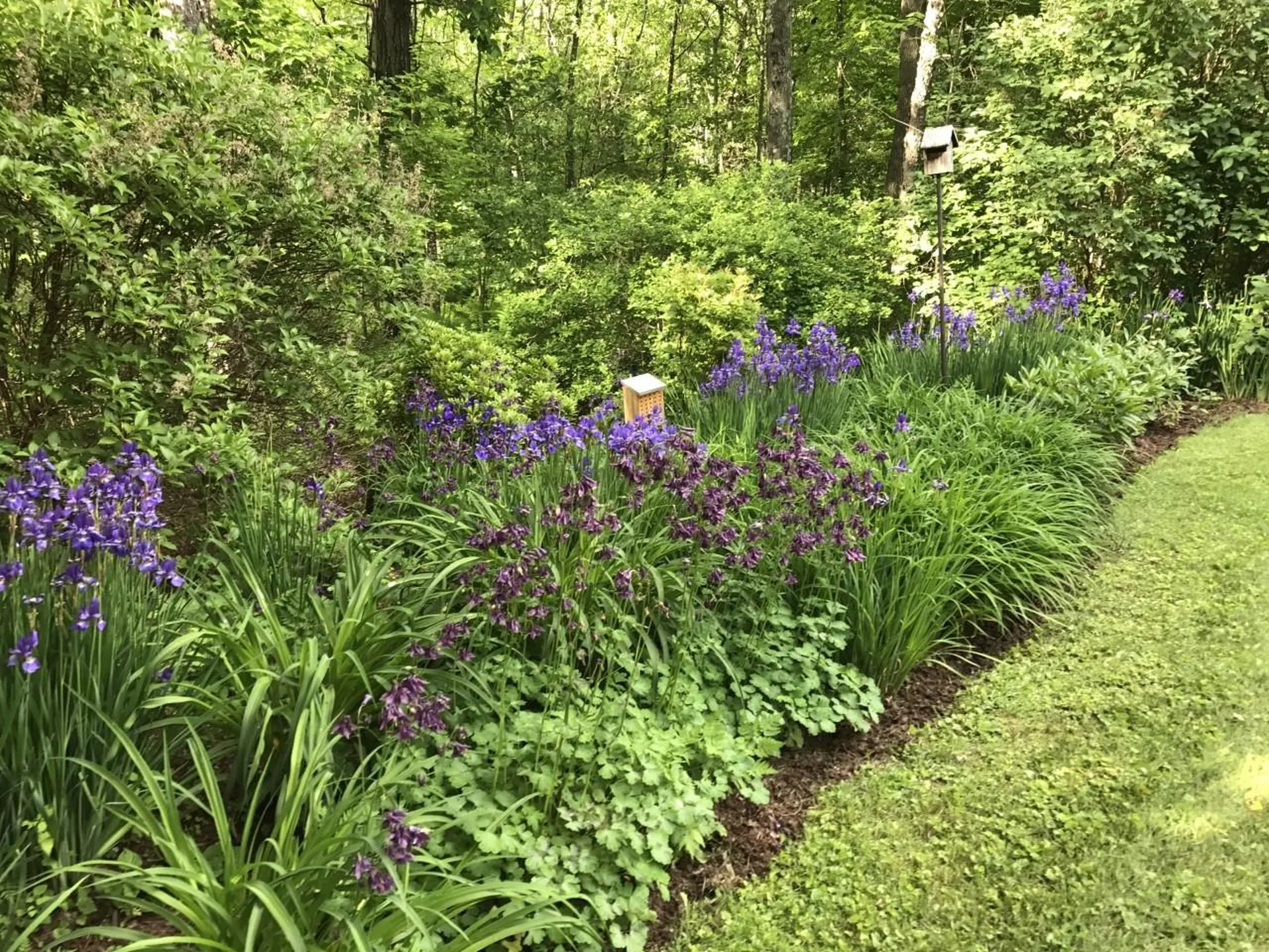 84 Gage Hill Road Hopkinton NH 03229