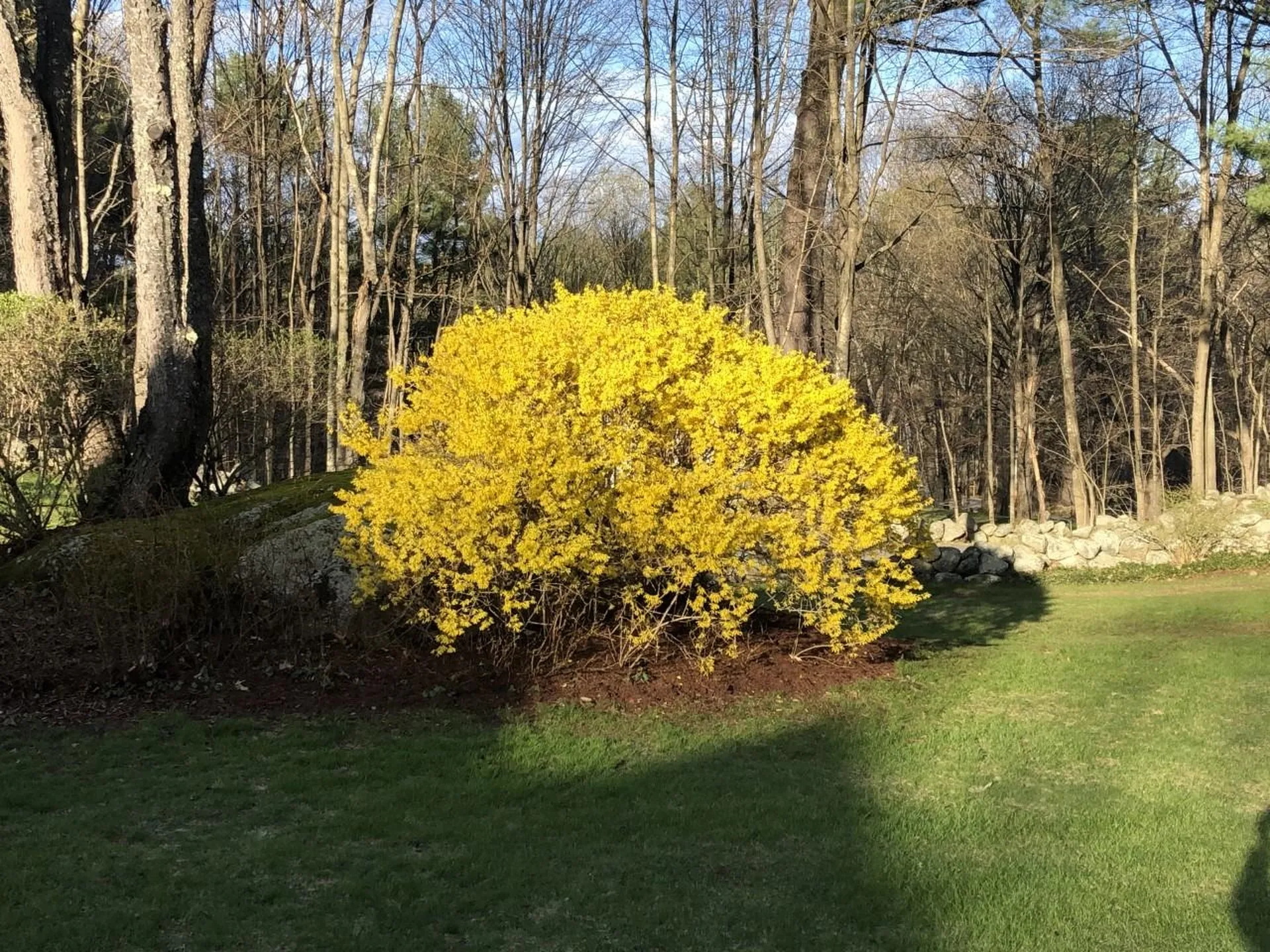 84 Gage Hill Road Hopkinton NH 03229