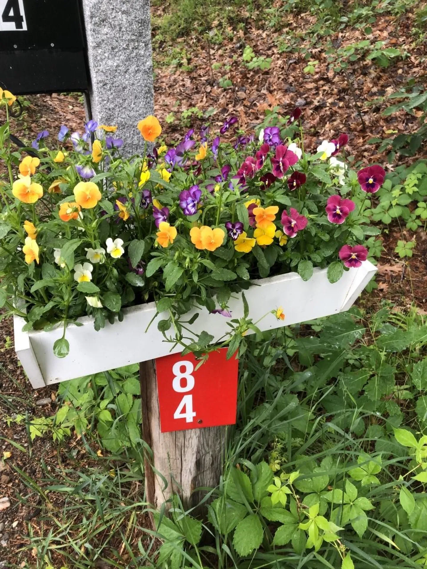 84 Gage Hill Road Hopkinton NH 03229