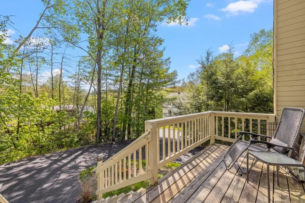 132 Holiday Hills Drive Bristol NH 03222