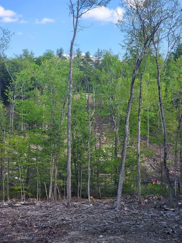 529 Page Hill Road Tamworth NH 03886