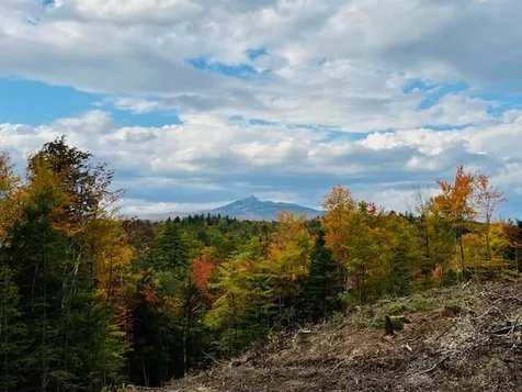 529 Page Hill Road Tamworth NH 03886