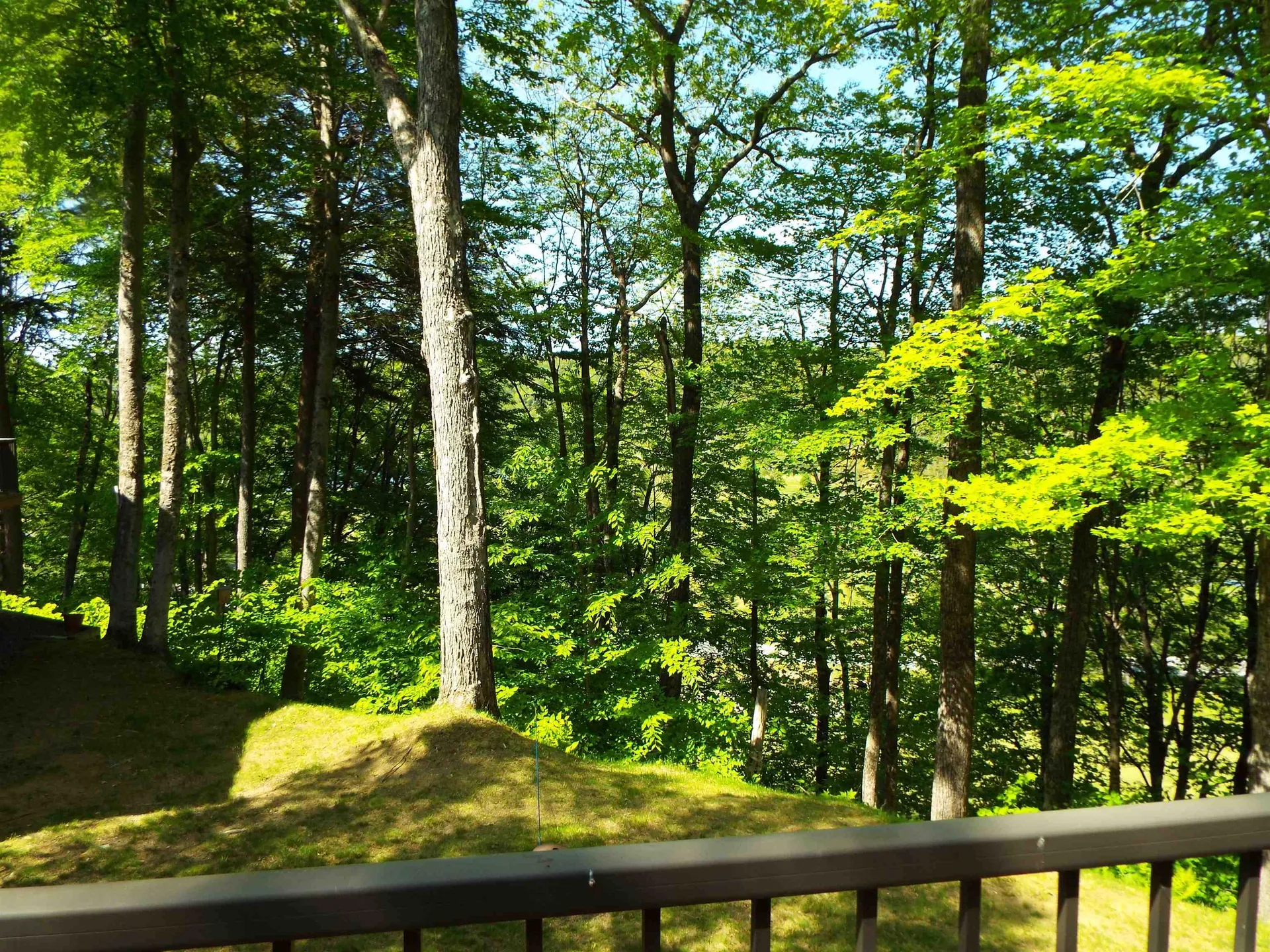 1140 Murphy's Road Hartford VT 05059