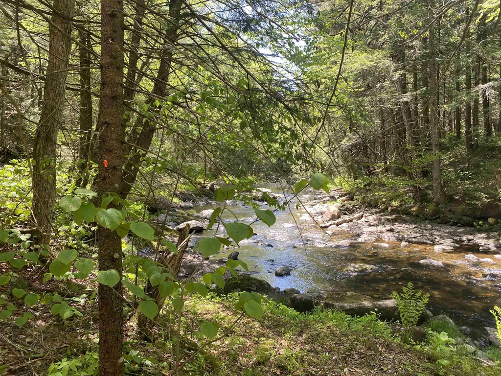 575 Bog Road Belvidere VT 05442