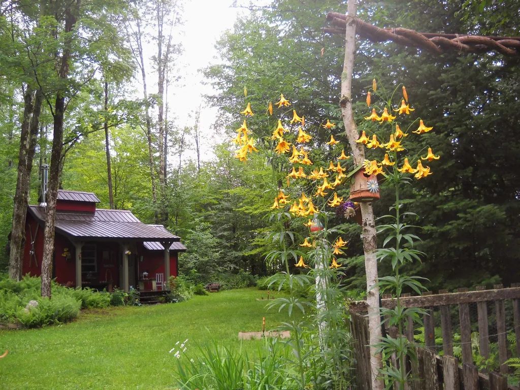 575 Bog Road Belvidere VT 05442