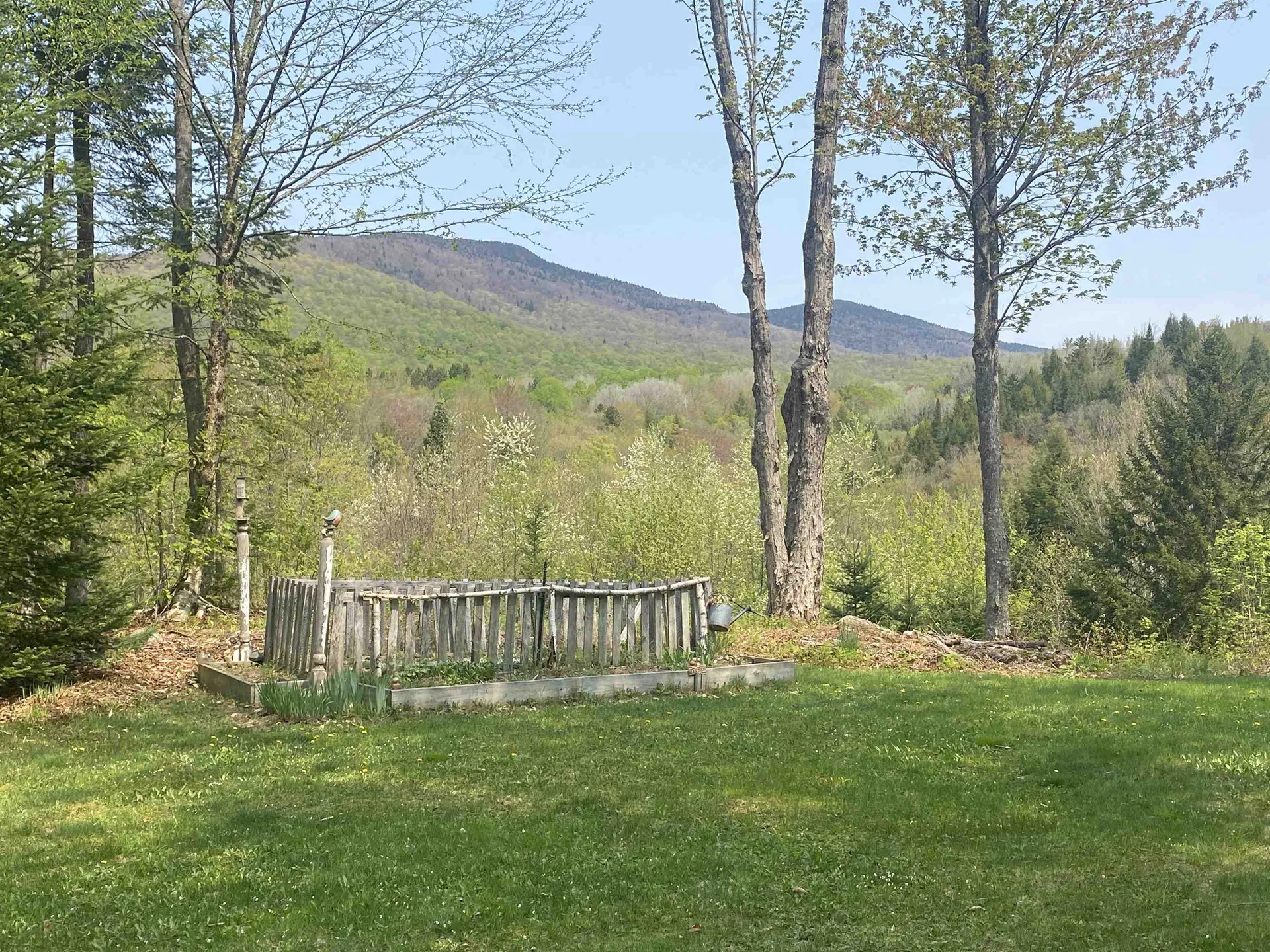 575 Bog Road Belvidere VT 05442