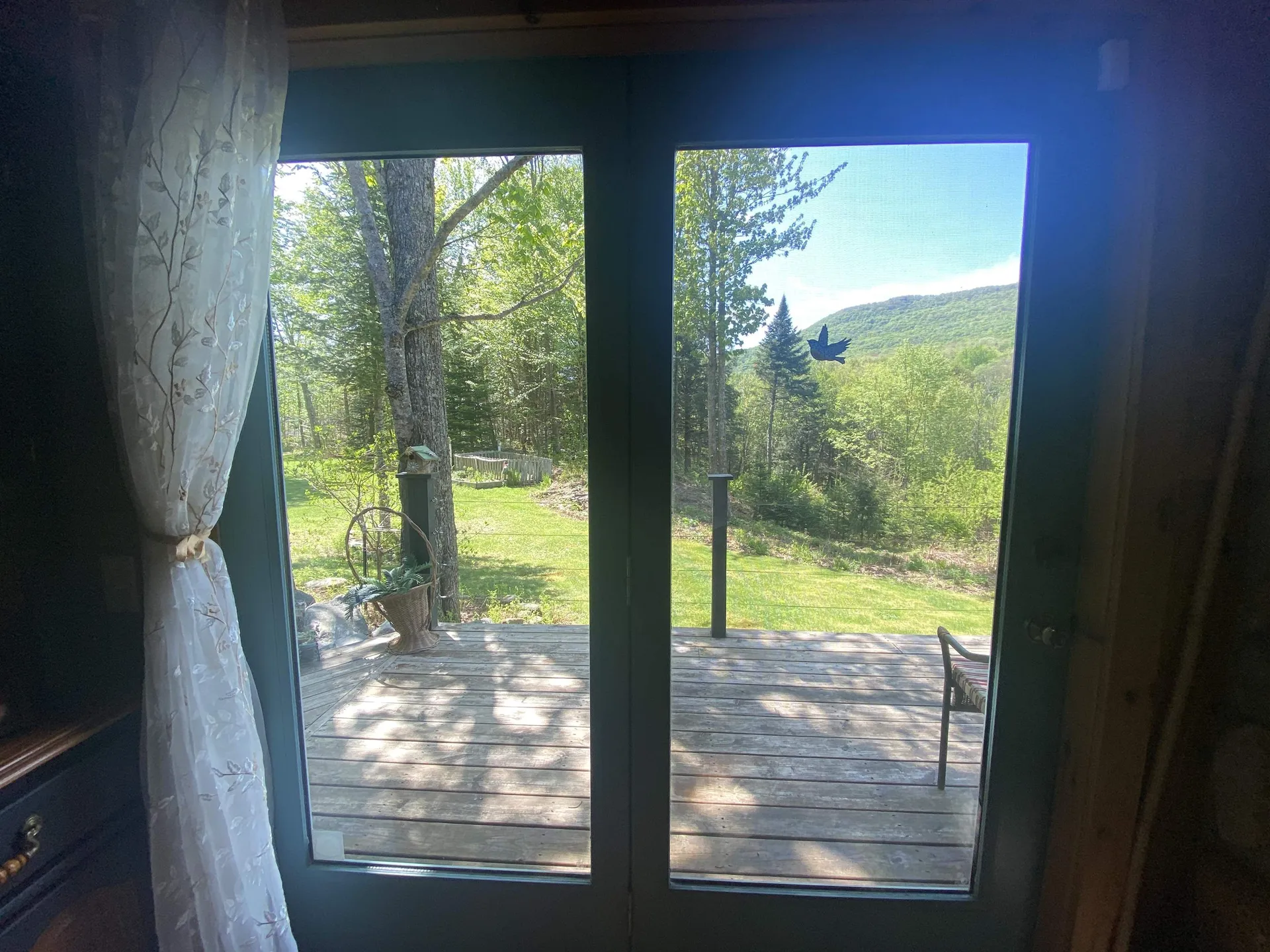 575 Bog Road Belvidere VT 05442