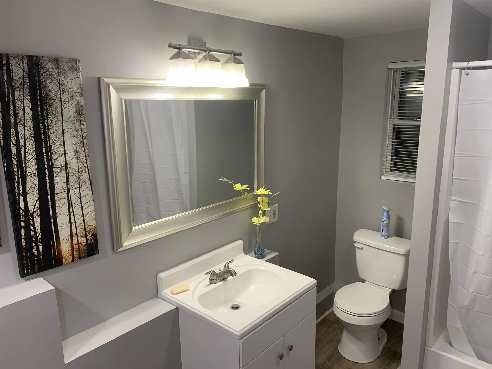 42 Mill Street Ashland NH 03217