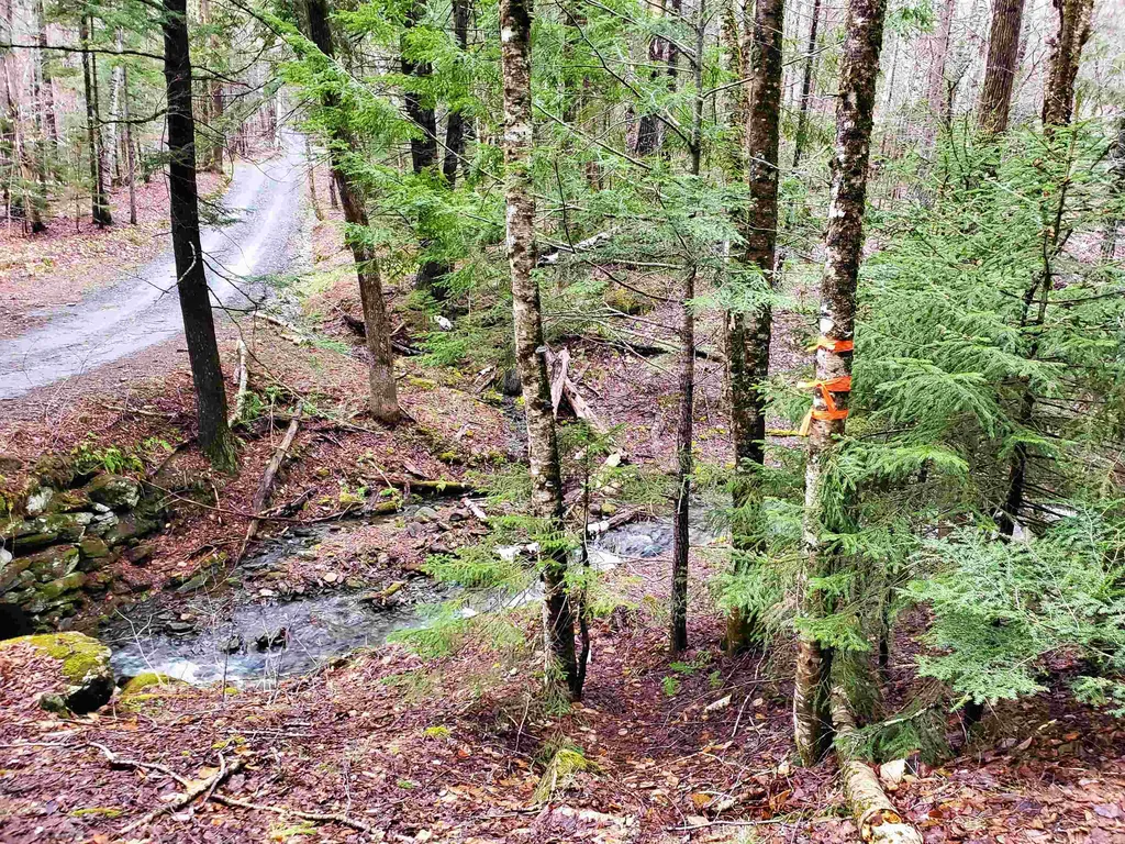 Stockbridge VT 05772