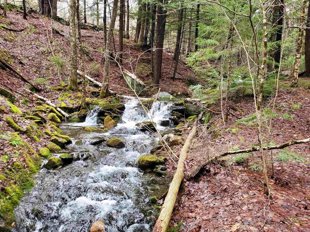 Stockbridge VT 05772