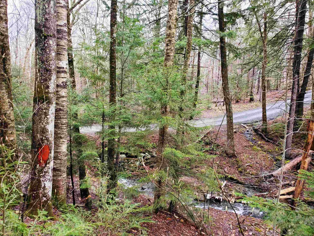 Stockbridge VT 05772