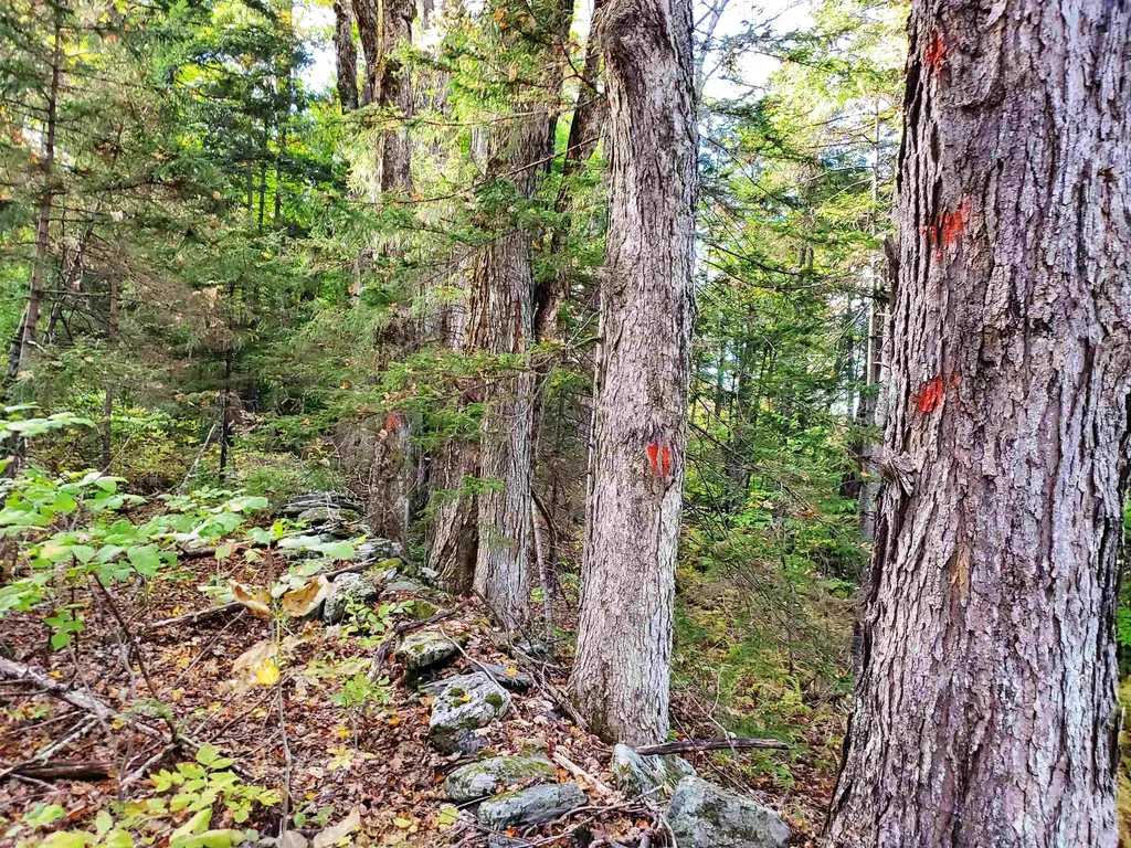 Stockbridge VT 05772