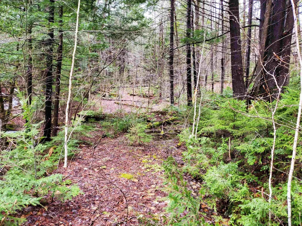 Stockbridge VT 05772