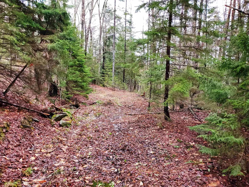 Stockbridge VT 05772