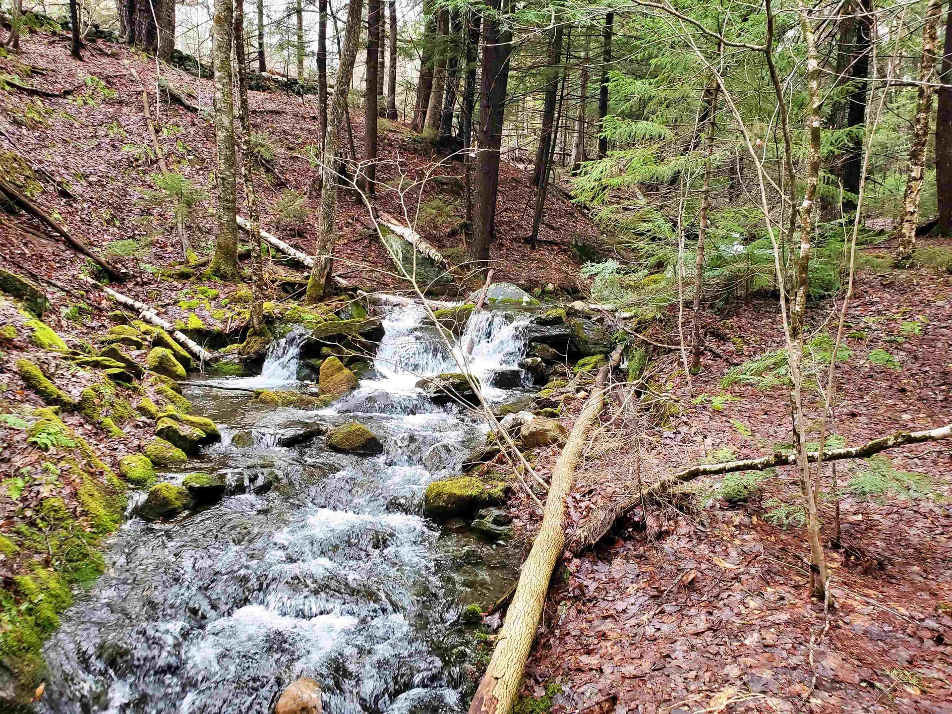 Stockbridge VT 05772