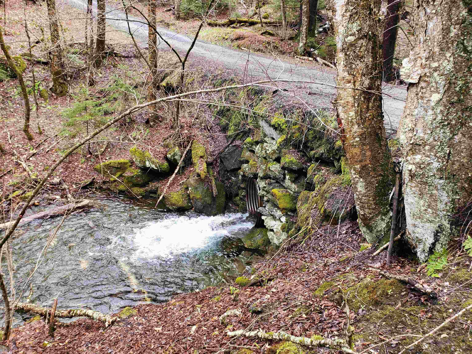 Stockbridge VT 05772