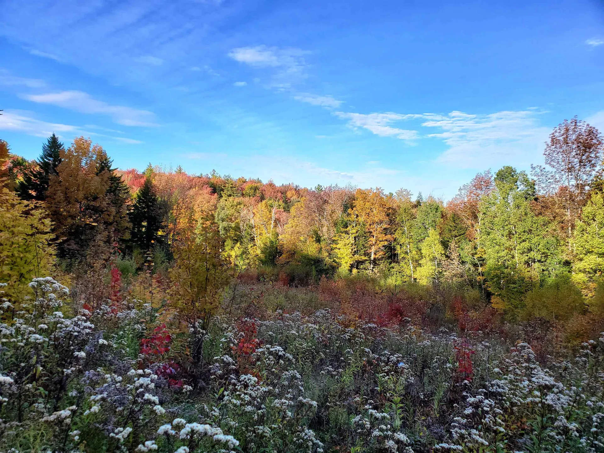 Stockbridge VT 05772