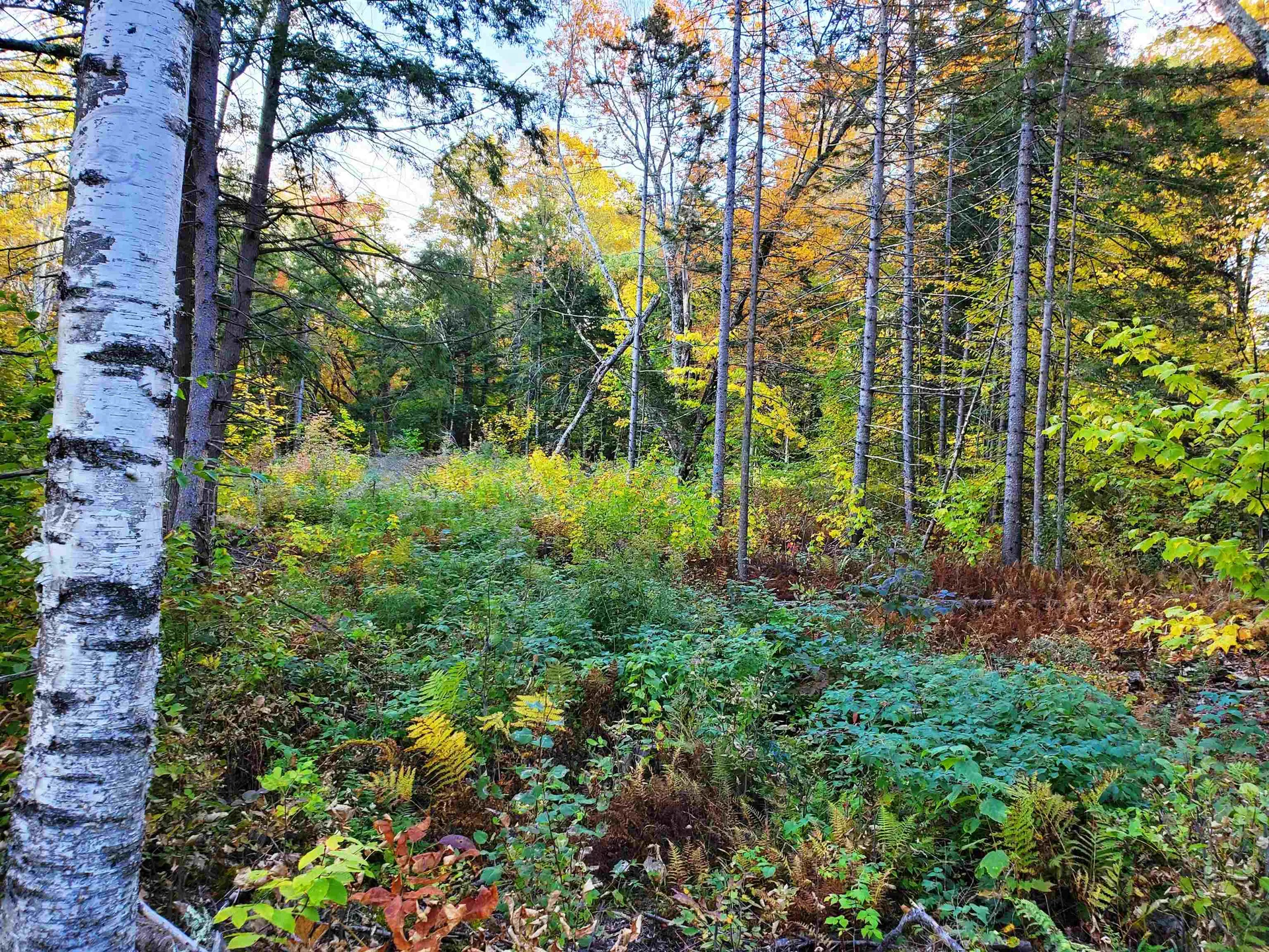 Stockbridge VT 05772