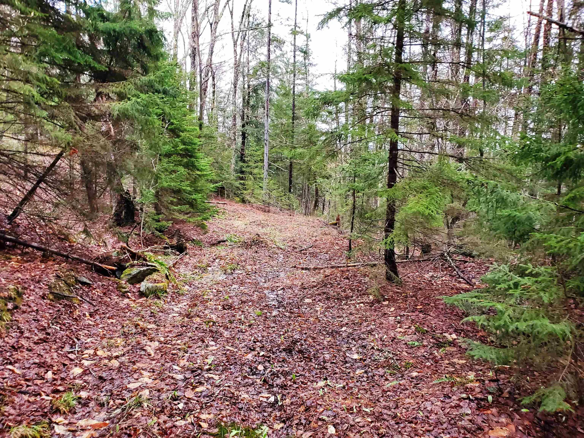 Stockbridge VT 05772