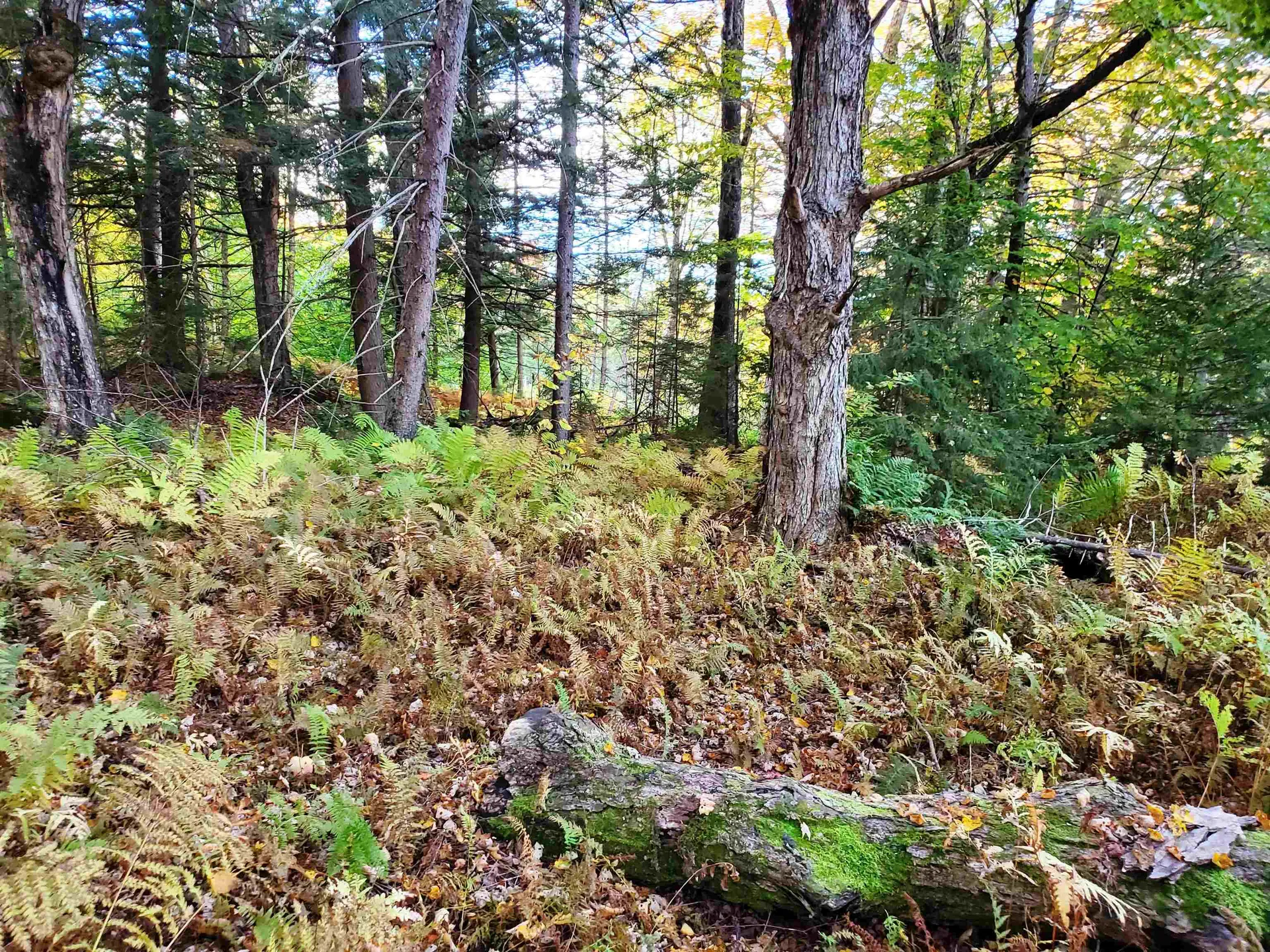 Stockbridge VT 05772