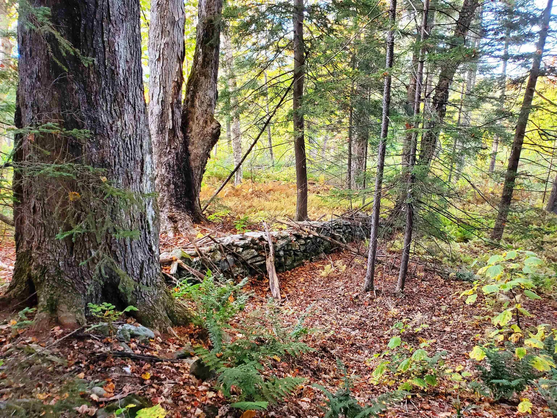Stockbridge VT 05772