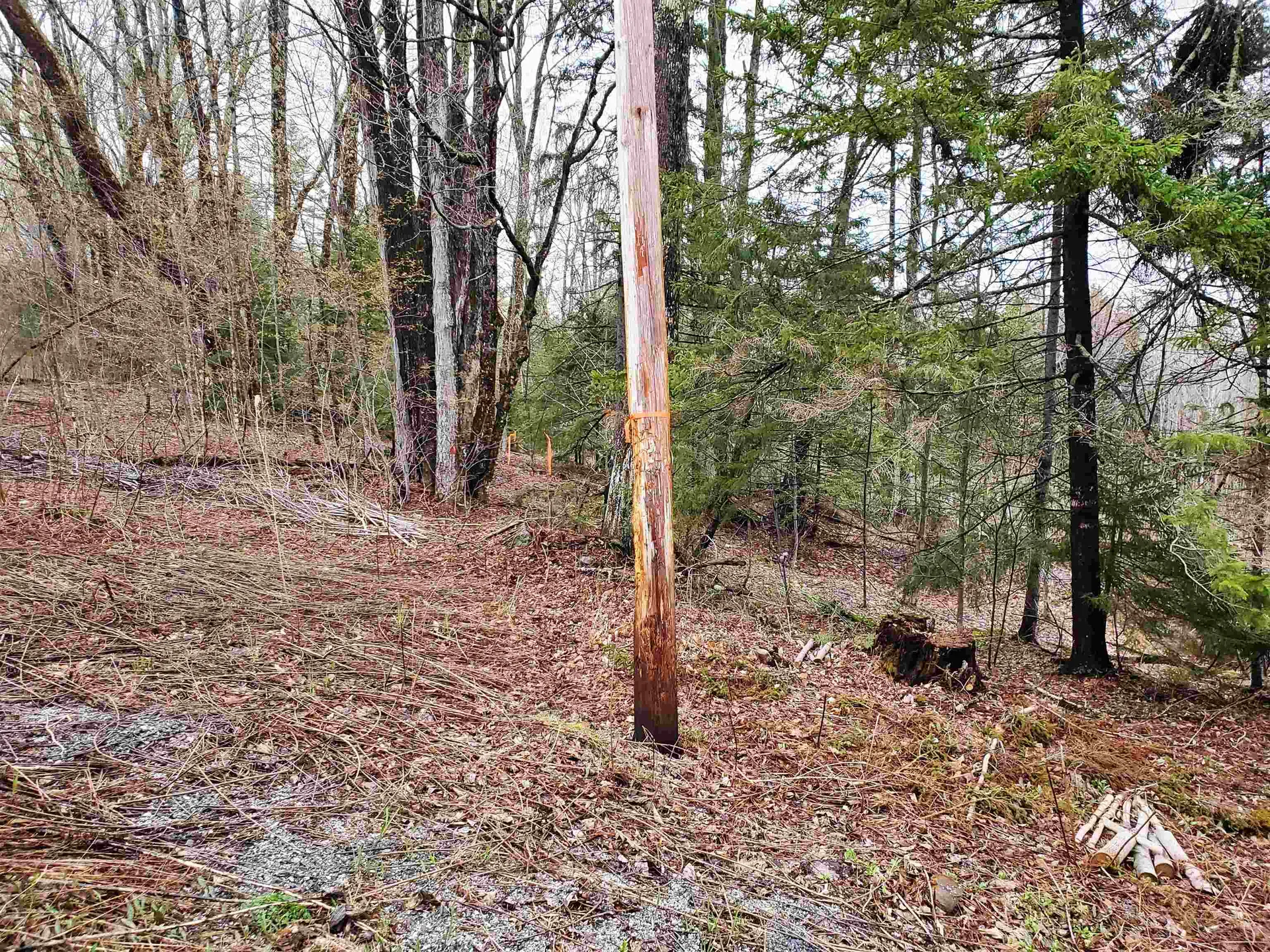 Stockbridge VT 05772