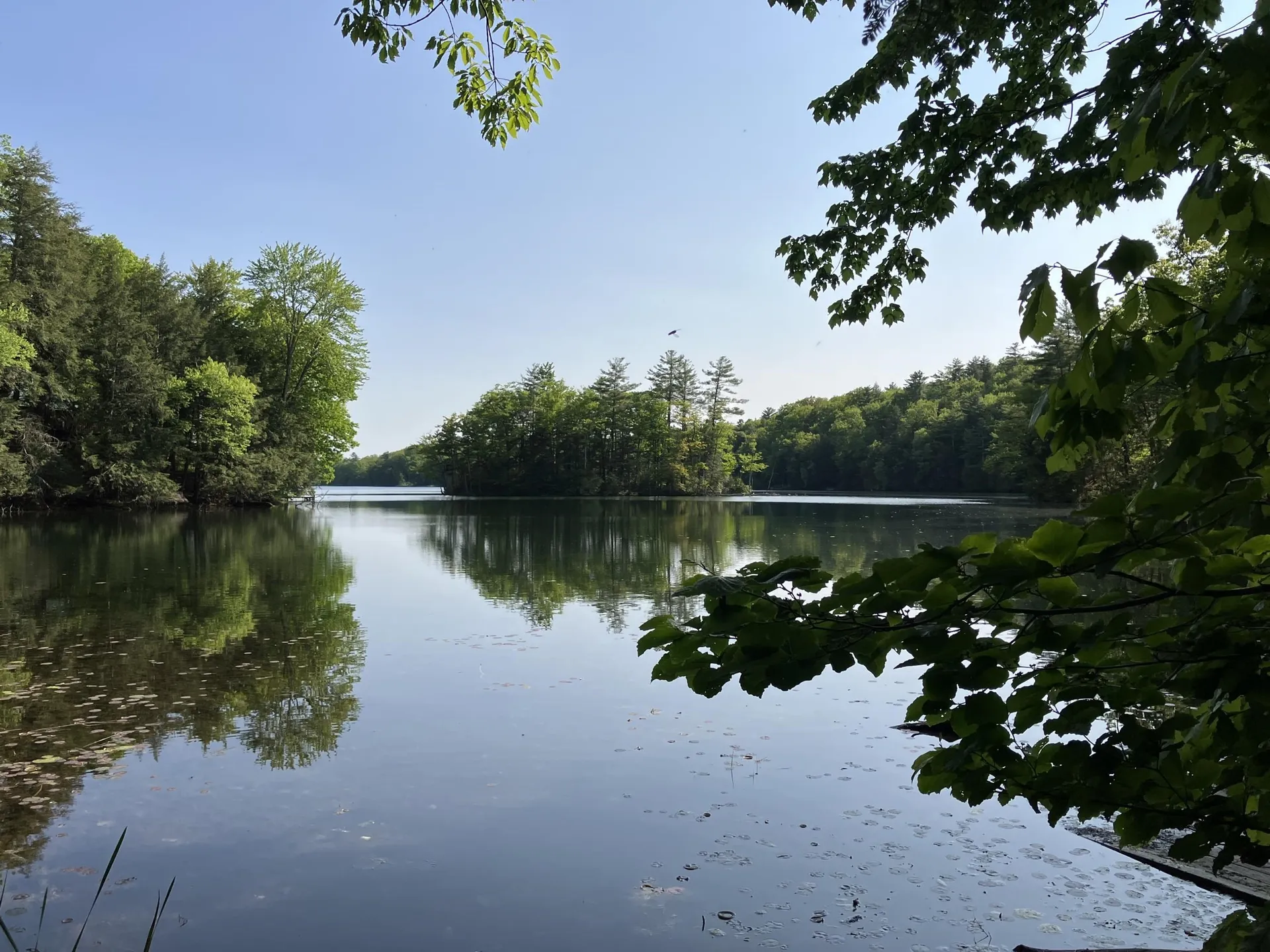 Tbd Isthmus Drive Leicester VT 05733