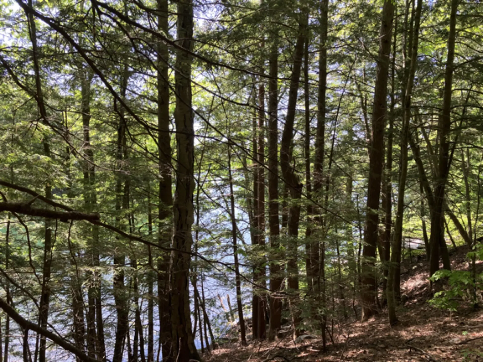 Tbd Isthmus Drive Leicester VT 05733